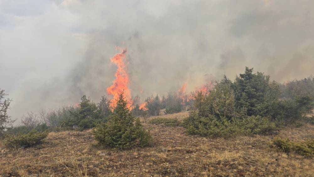 Konya Derbent’te orman yangını çıktı 6